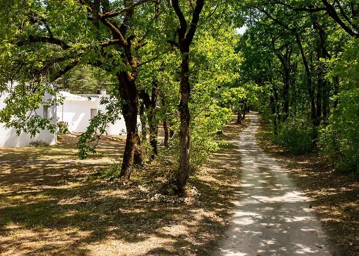 - Village Familial A Au Coeur Du Vignoble Lotois