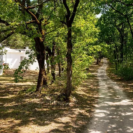 - Village Familial A Au Coeur Du Vignoble Lotois