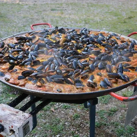 - Village Familial A Au Coeur Du Vignoble Lotois Village de vacances *